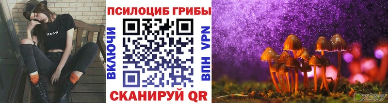 omg ONION Орёл Псилоцибиновые грибы мицелий дарнет шоп